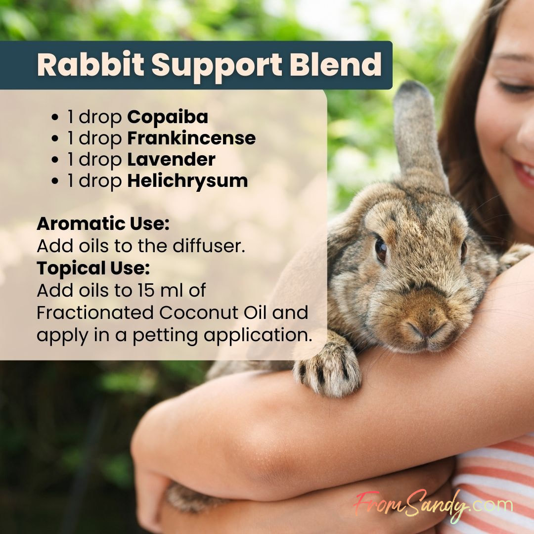 Rabbit Support Blend | From Sandy