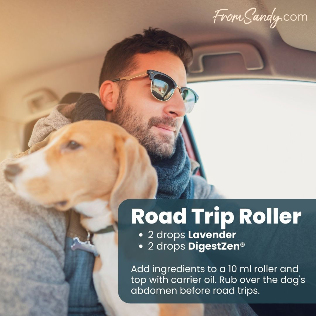 Road Trip Roller | From Sandy